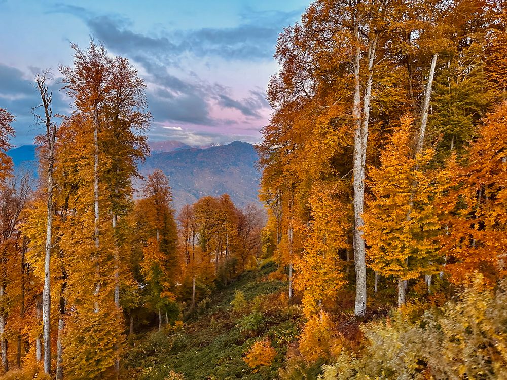 Photograph by Полина Самойлова