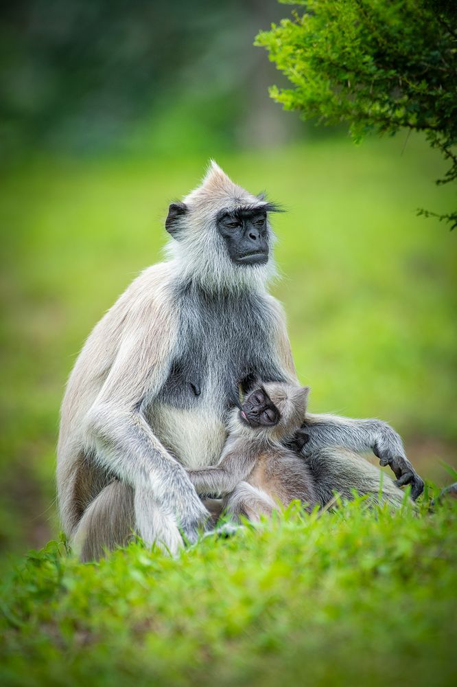 Photograph by PRASANTHDAS SD