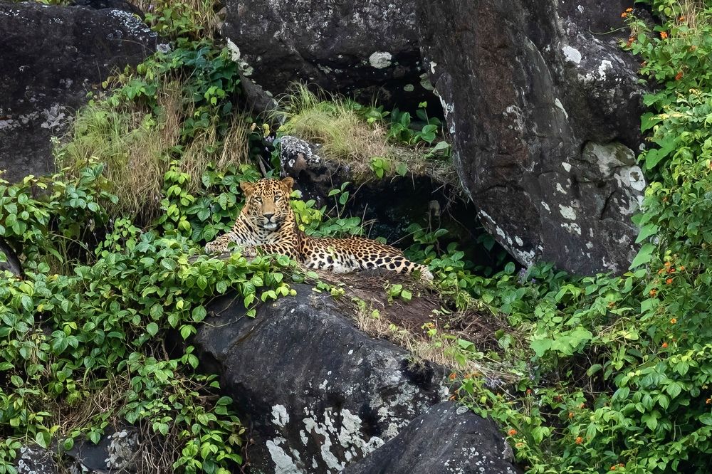 Photograph by Dhananjay Jadhav