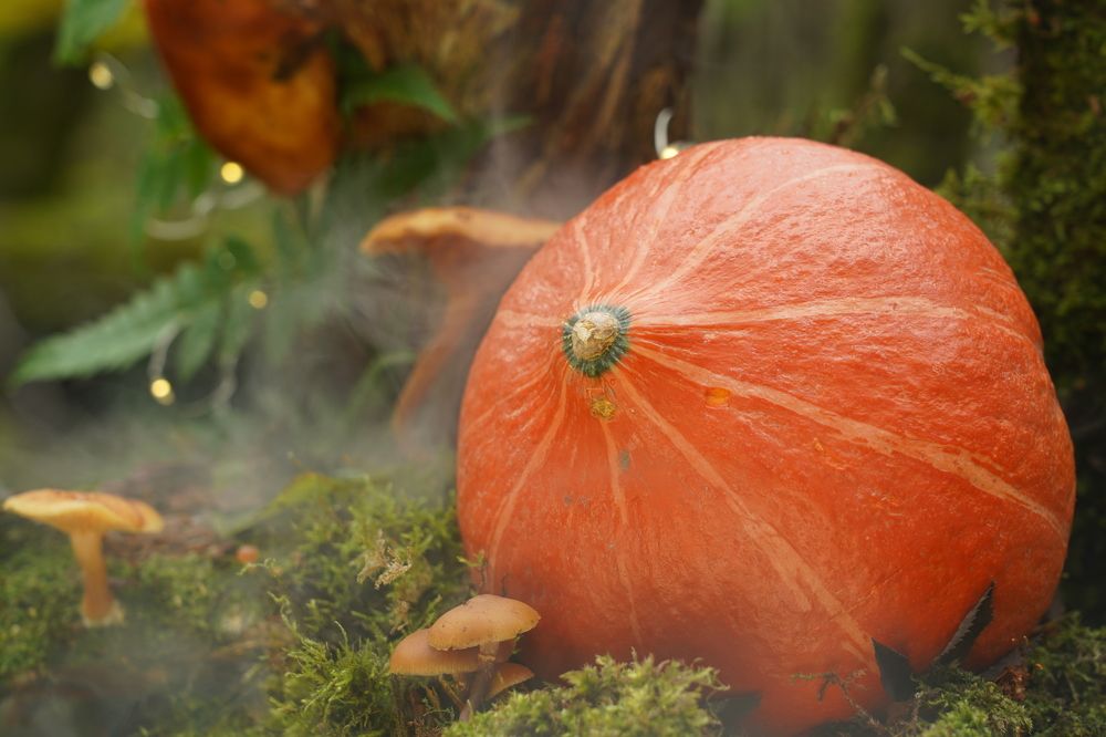 Photograph by Надежда Мытник