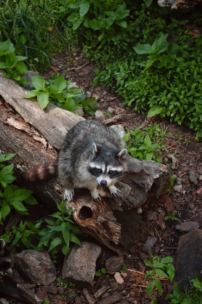 Photograph by Елена Демина