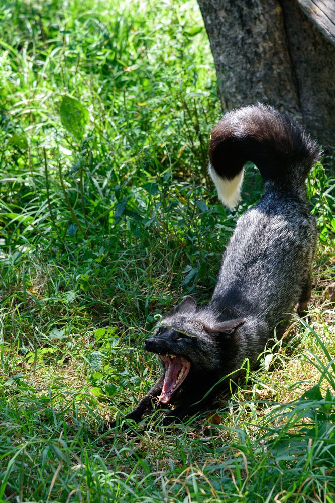 Photograph by Антон Бойков