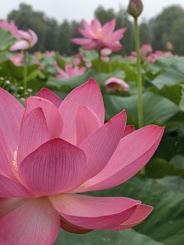 Photograph by Екатерина Исаева