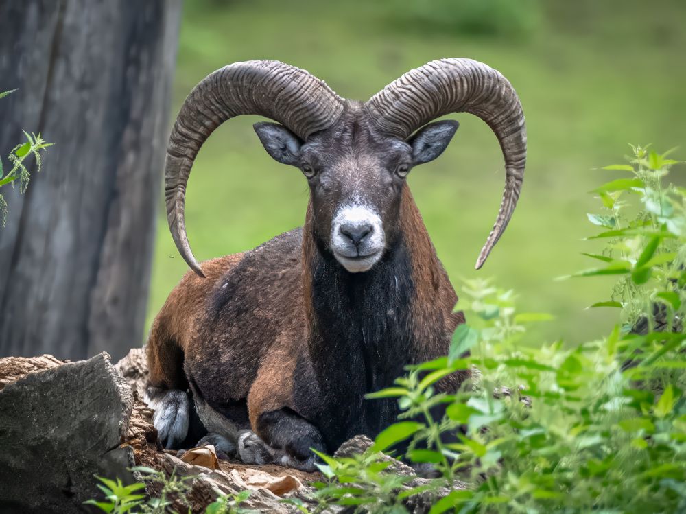 Photograph by Erik Nelson