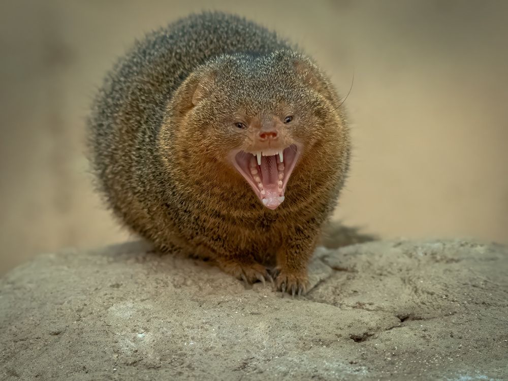 Photograph by Erik Nelson