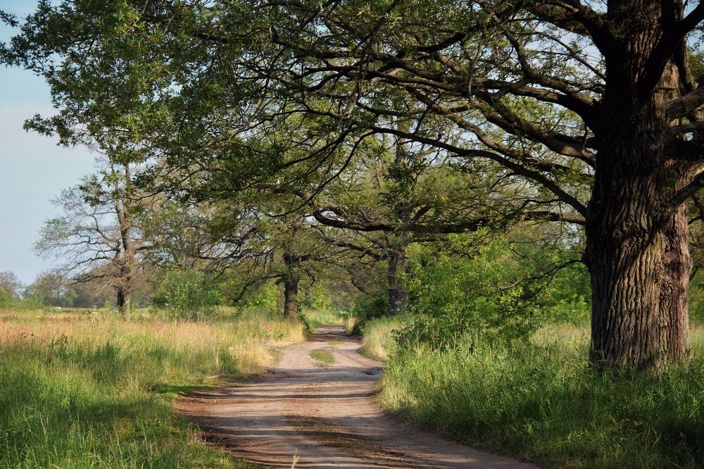 Photograph by Анна Любимова