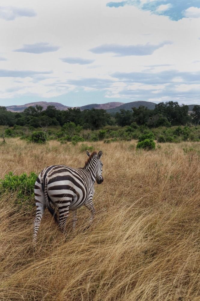 Photograph by Людмила Евстратова