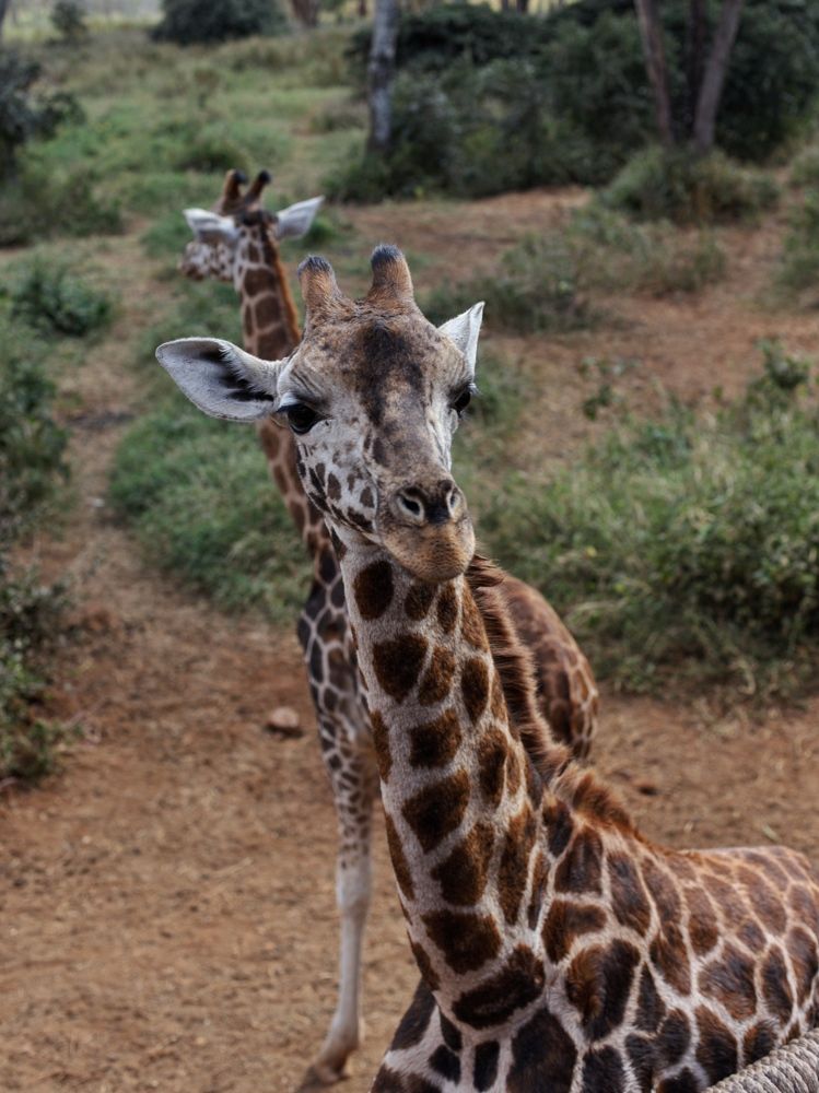 Photograph by Людмила Евстратова