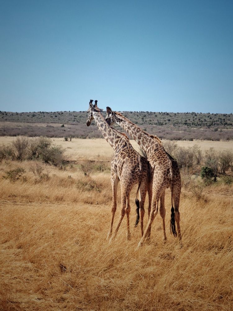 Photograph by Людмила Евстратова