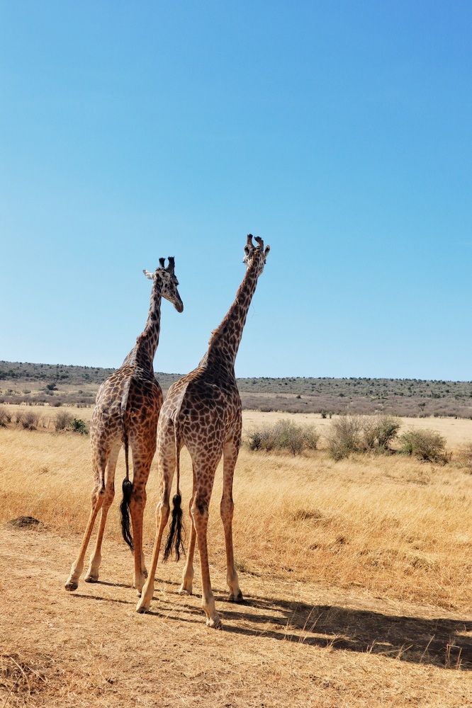 Photograph by Людмила Евстратова