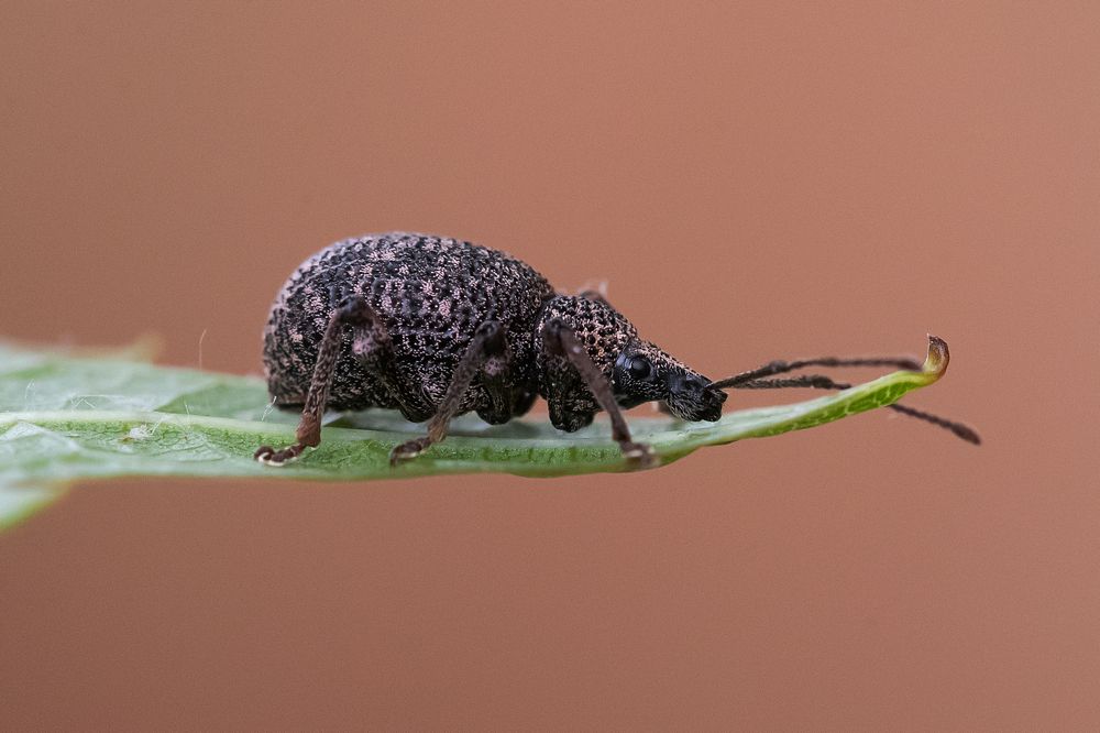 Photograph by ΝΙΚΟΣ ΚΑΜΠΙΑΝΑΚΗΣ