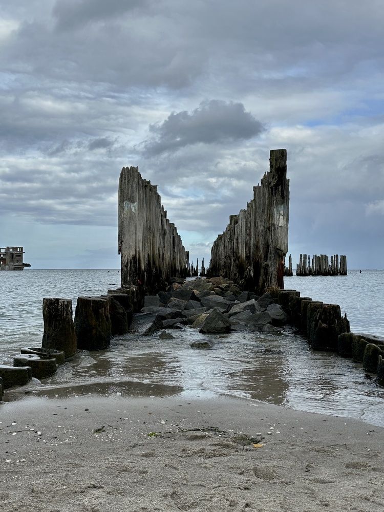 Photograph by Мария Чучелите-Майченко