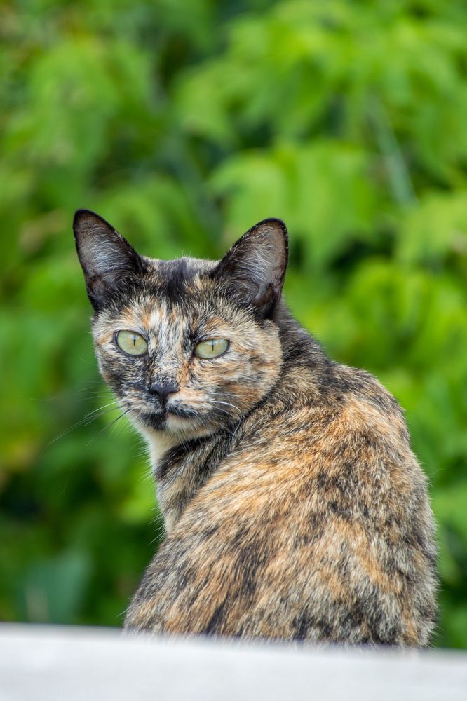 Взгляд назад