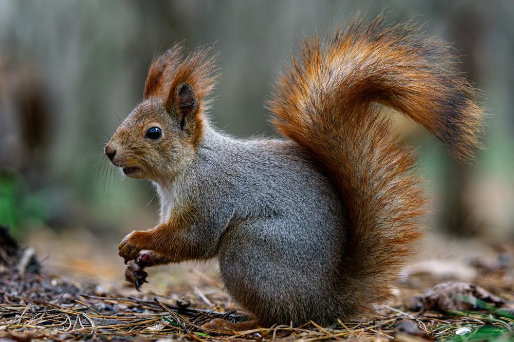 Photograph by Вертиков Юрий