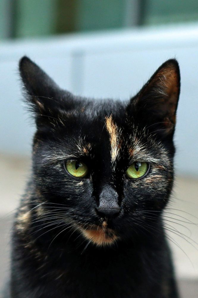 Photograph by Сергей Конюшенко