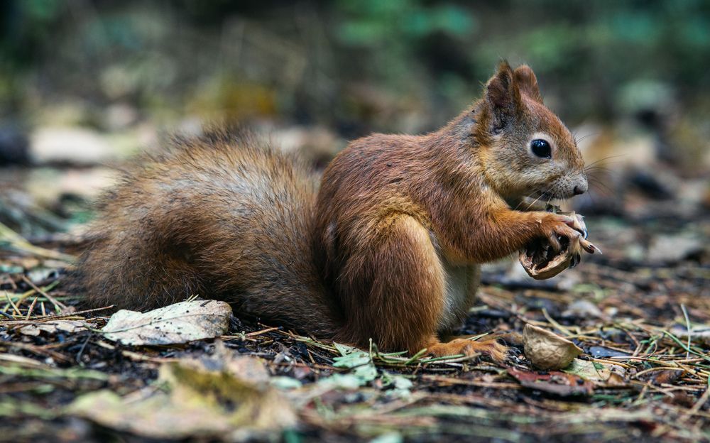 Photograph by Вертиков Юрий