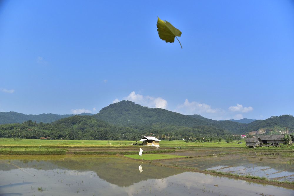 Photograph by Pujo Cahyono
