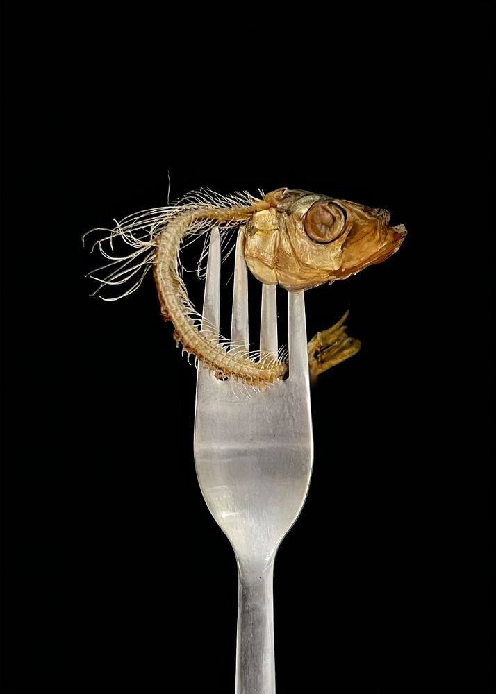 Photograph by Шестакова Елена