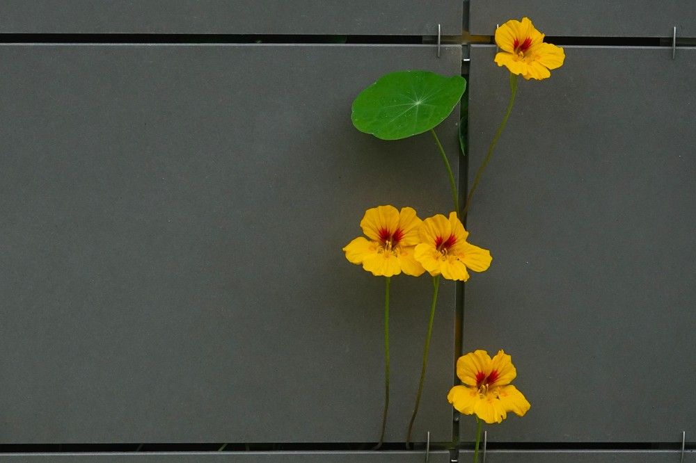 Photograph by Jelena