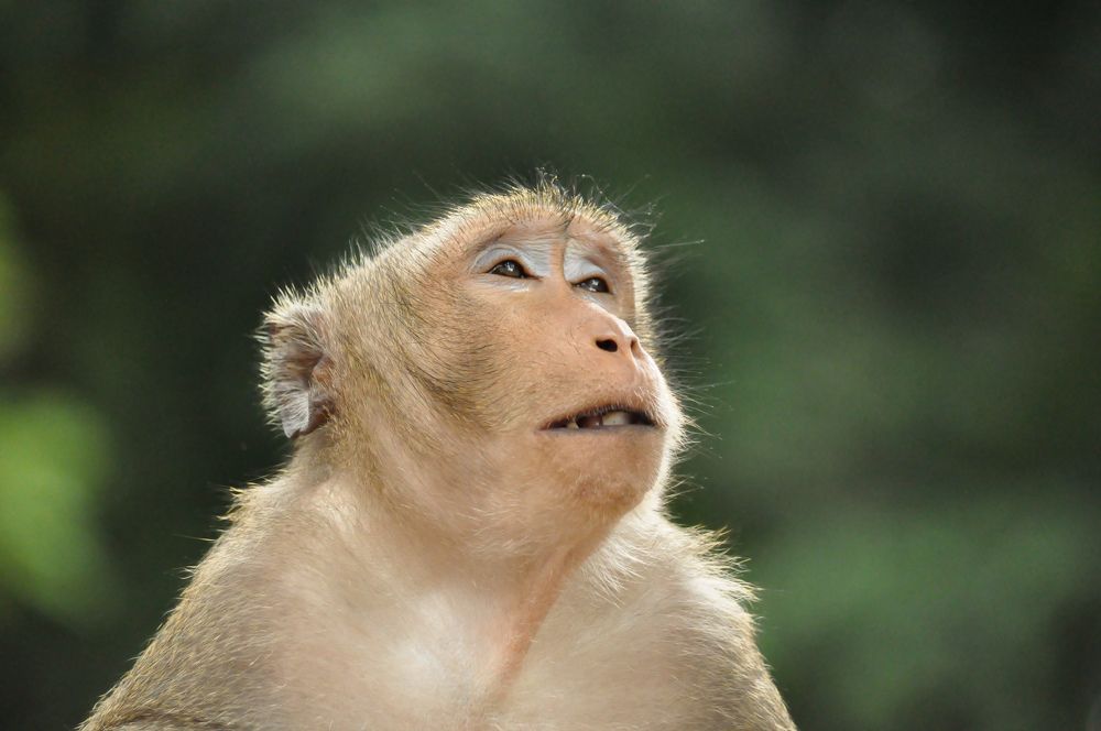 Photograph by Ксения Шакирова