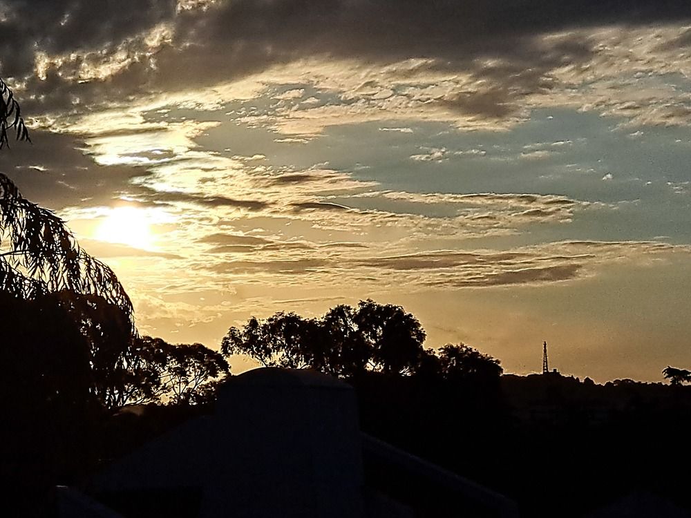 Фотография автора gustavo pecelis