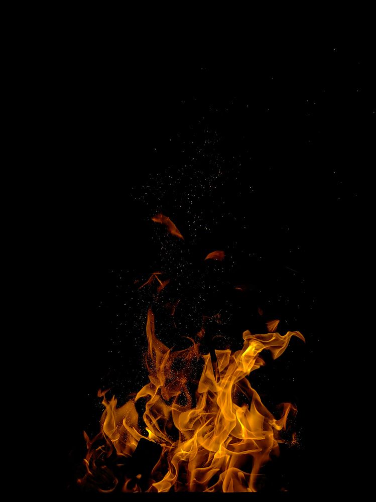 Фотография автора Ольга Панасюк