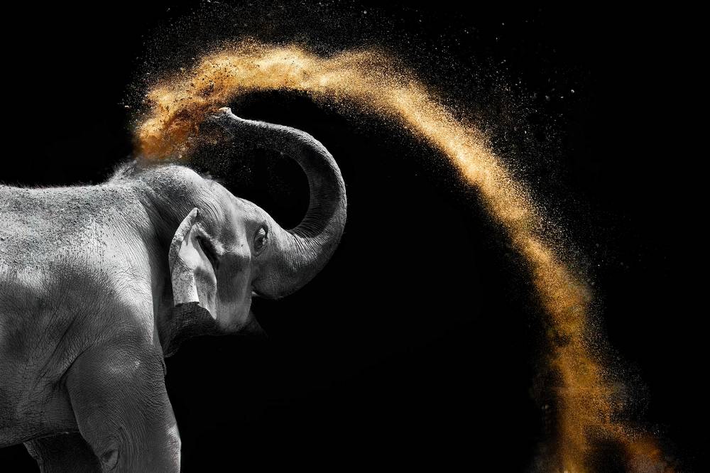 Photograph by Christopher Cann