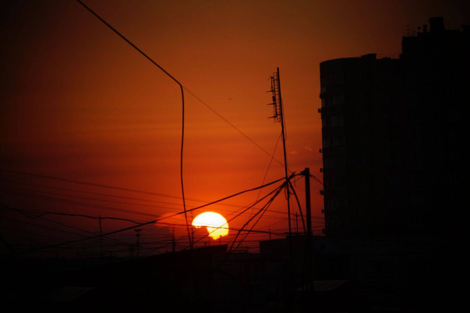 Photo #9842067