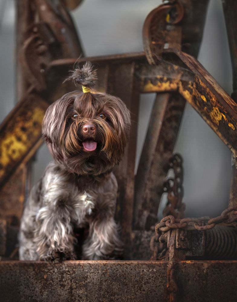 Фотография автора Eugenia Tuzova