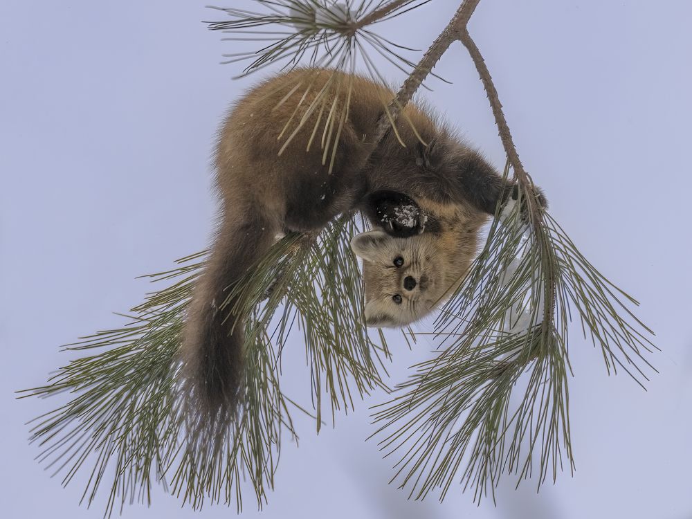 Photograph by Jia Chen