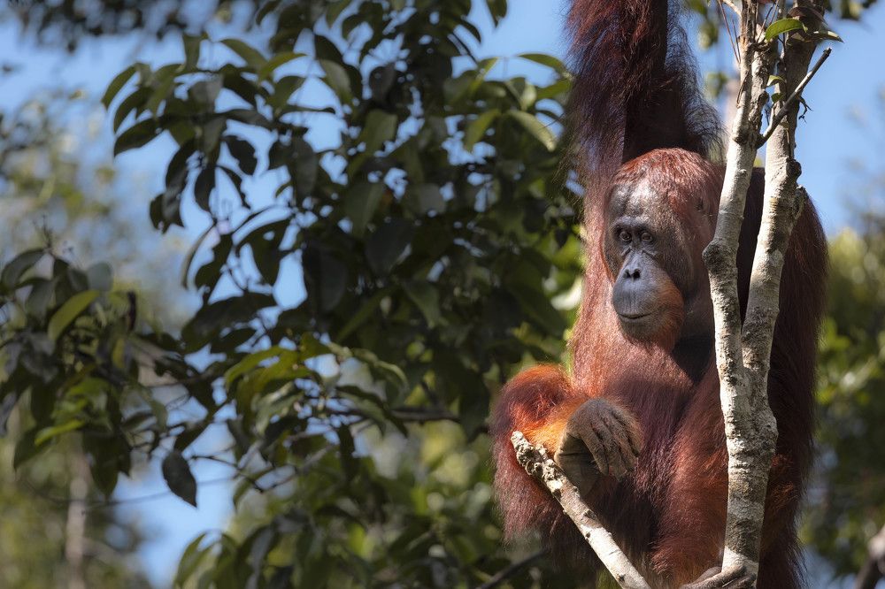 Фотография автора Anil Prabhakar