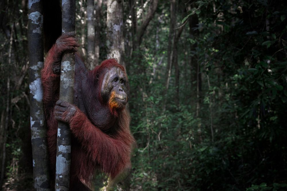Фотография автора Anil Prabhakar