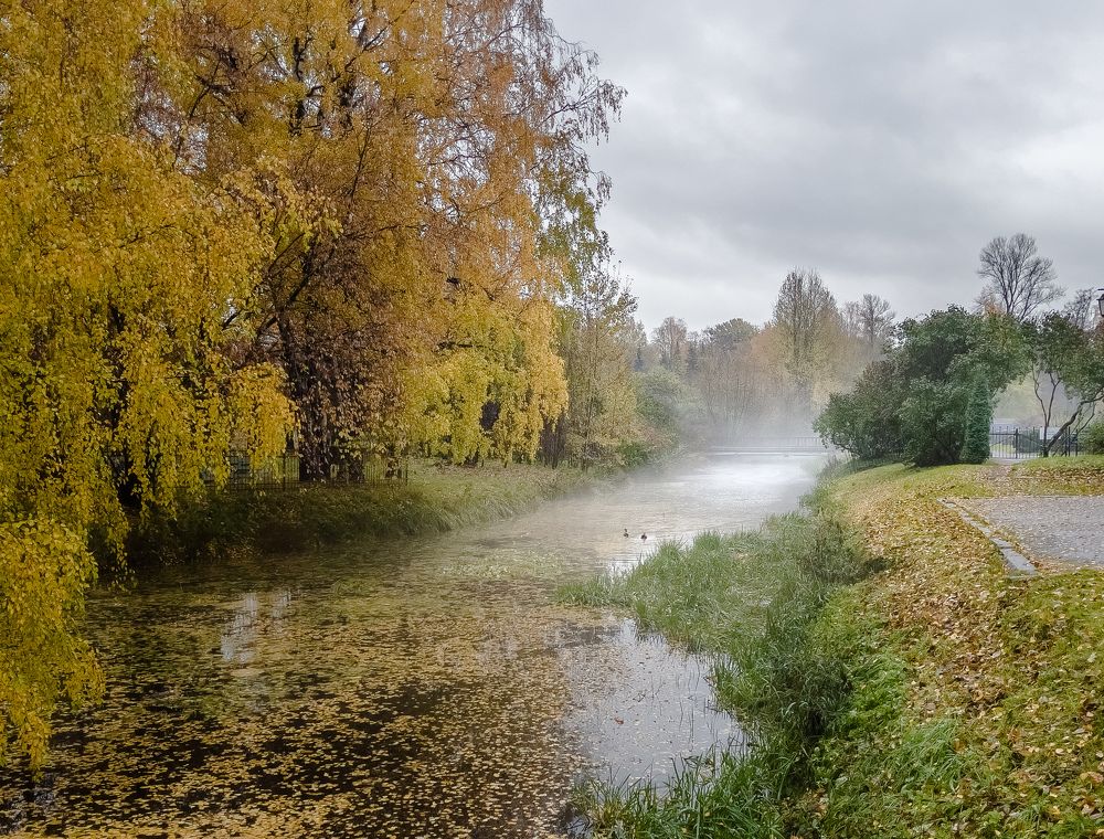 Photograph by Гордий Михаил