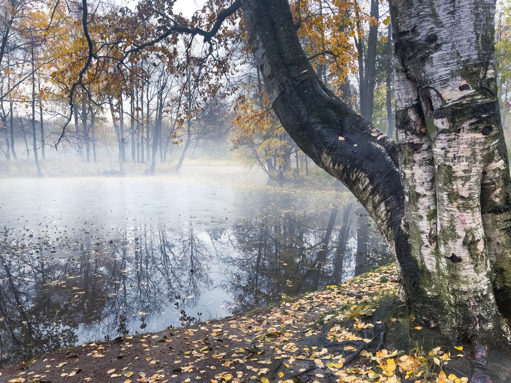 Photograph by Гордий Михаил