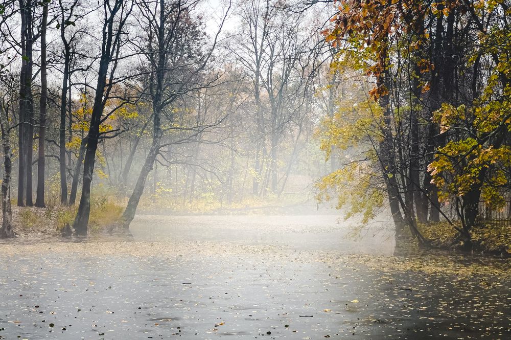 Photograph by Гордий Михаил