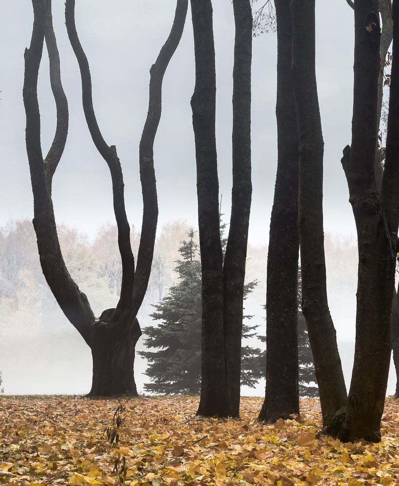 Photograph by Гордий Михаил