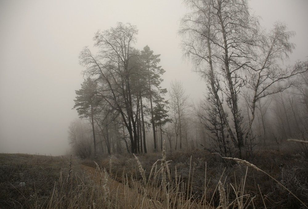 Photograph by Марина Юрченко