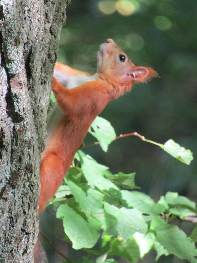 Photograph by Татьяна Смирнова