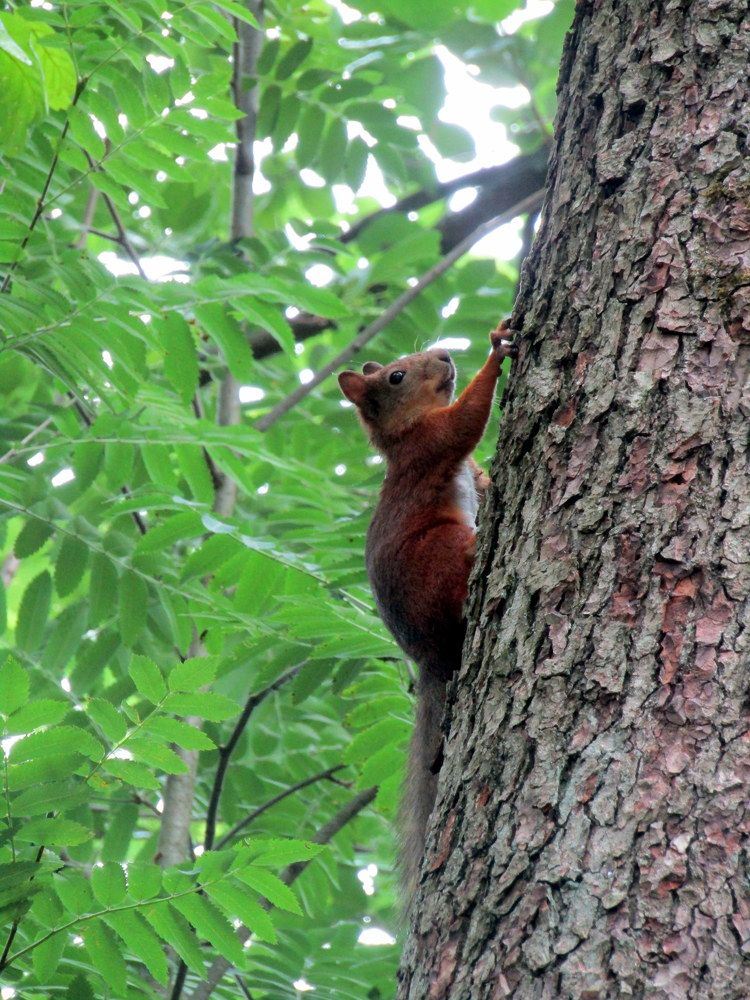 Photograph by Татьяна Смирнова