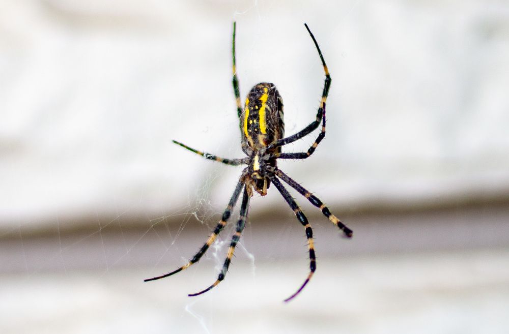 Фотография автора Владимир Оликов