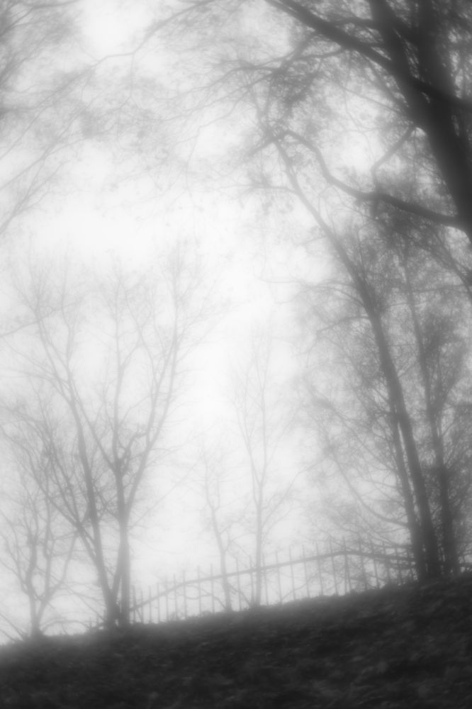 Photograph by Мария Пичугина