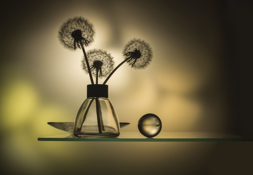 Photograph by Евгений Попов