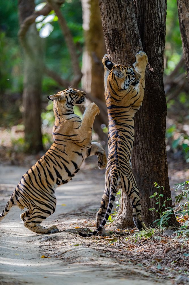 Photograph by Nitin Baste