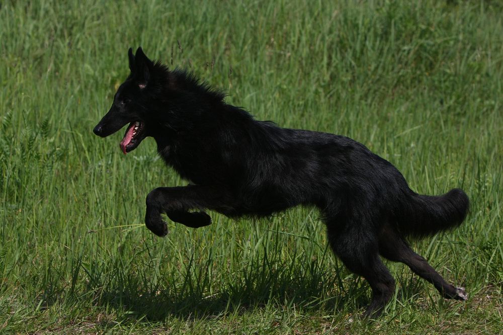 Фотография автора Надежда Лисицына