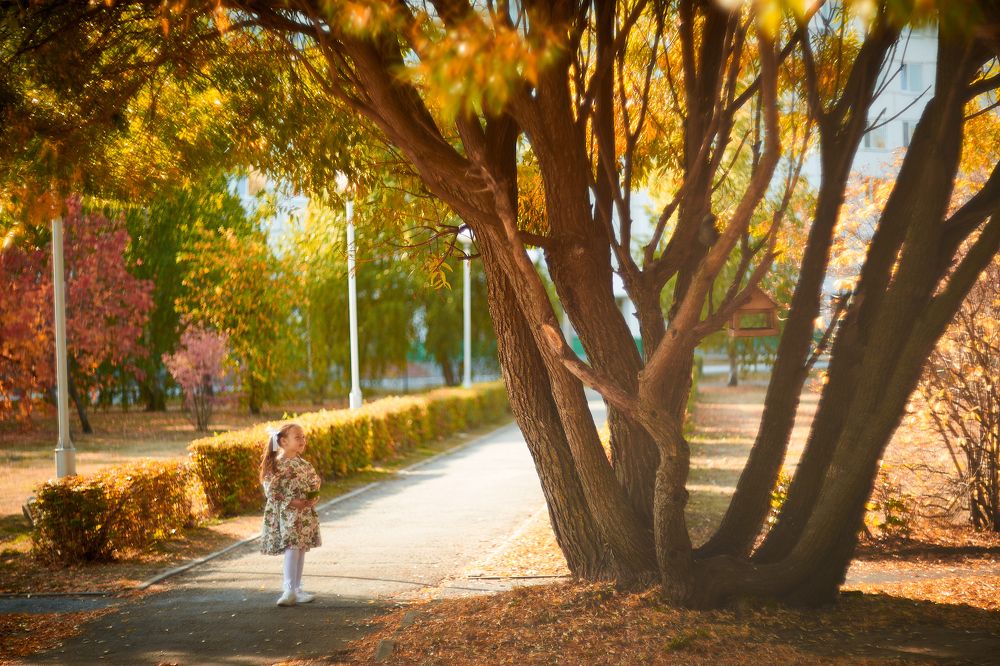 Photograph by Alexander Coin