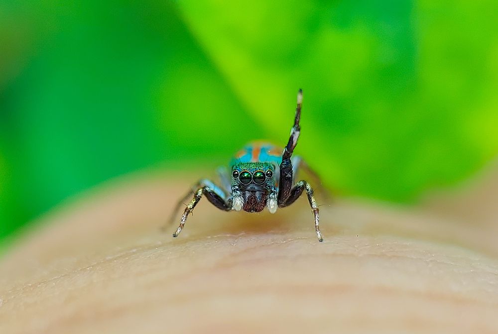 Photograph by Sumitava Chowdhury