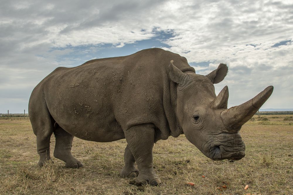Photograph by Hymakar Valluri