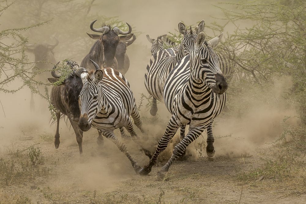 Photograph by Hymakar Valluri