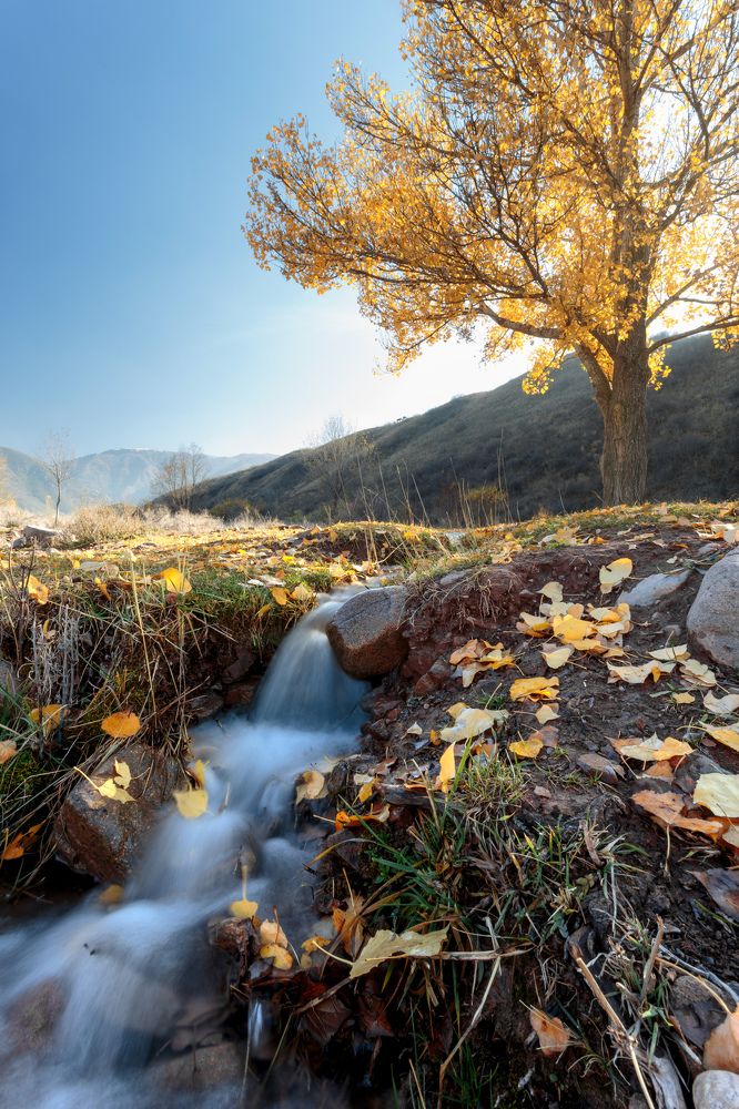 Тёплый ноябрь