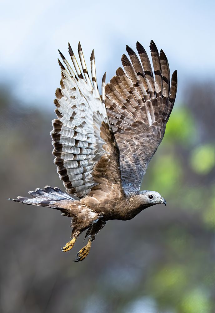 Photograph by Nitin Baste